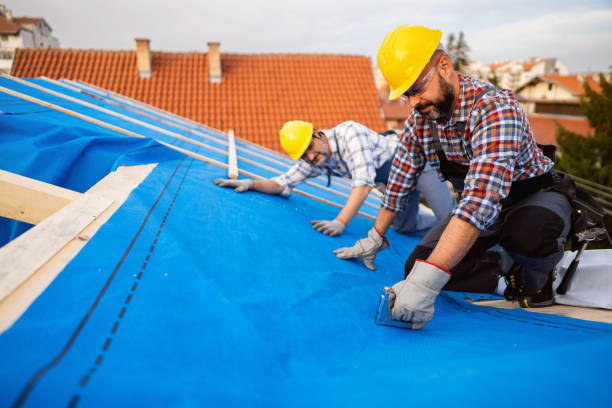 Roof Restoration in Miami Shores, FL